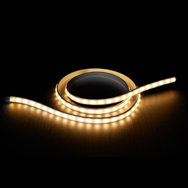 New Released10W 10MM COLOR TEMPERATURE ADJUSTABLE Exterior Outdoor Led Strip Light