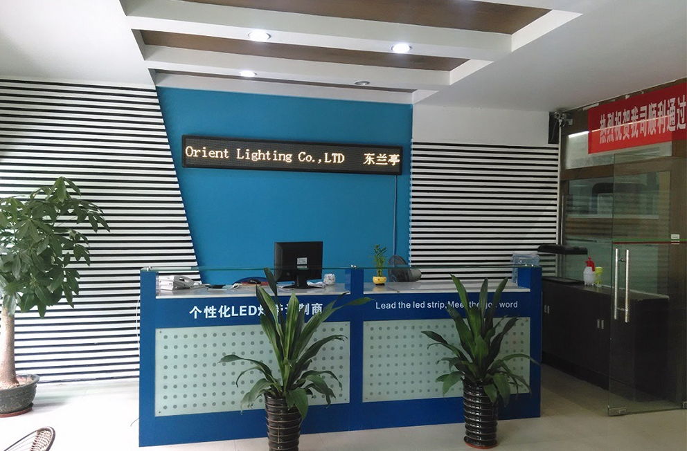 Home Multi-color Led Neon Strip Light
